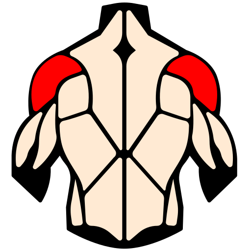 infographie d'un humain de dos avec l'arrière d'épaule en sur-brillance
