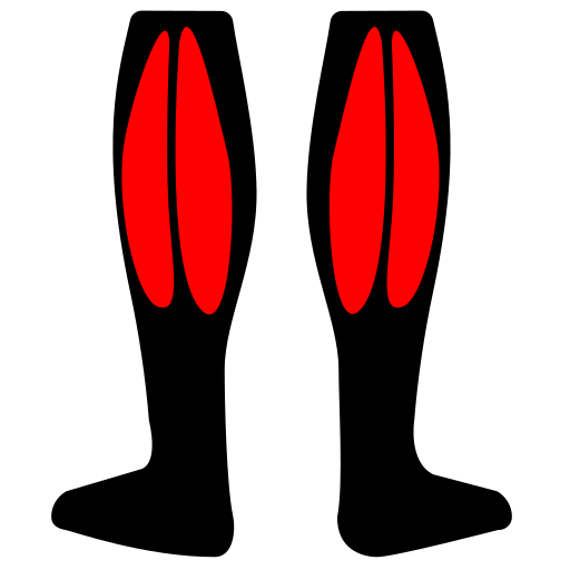 infographie d'un bas du corps de dos avec les mollets en sur-brillance