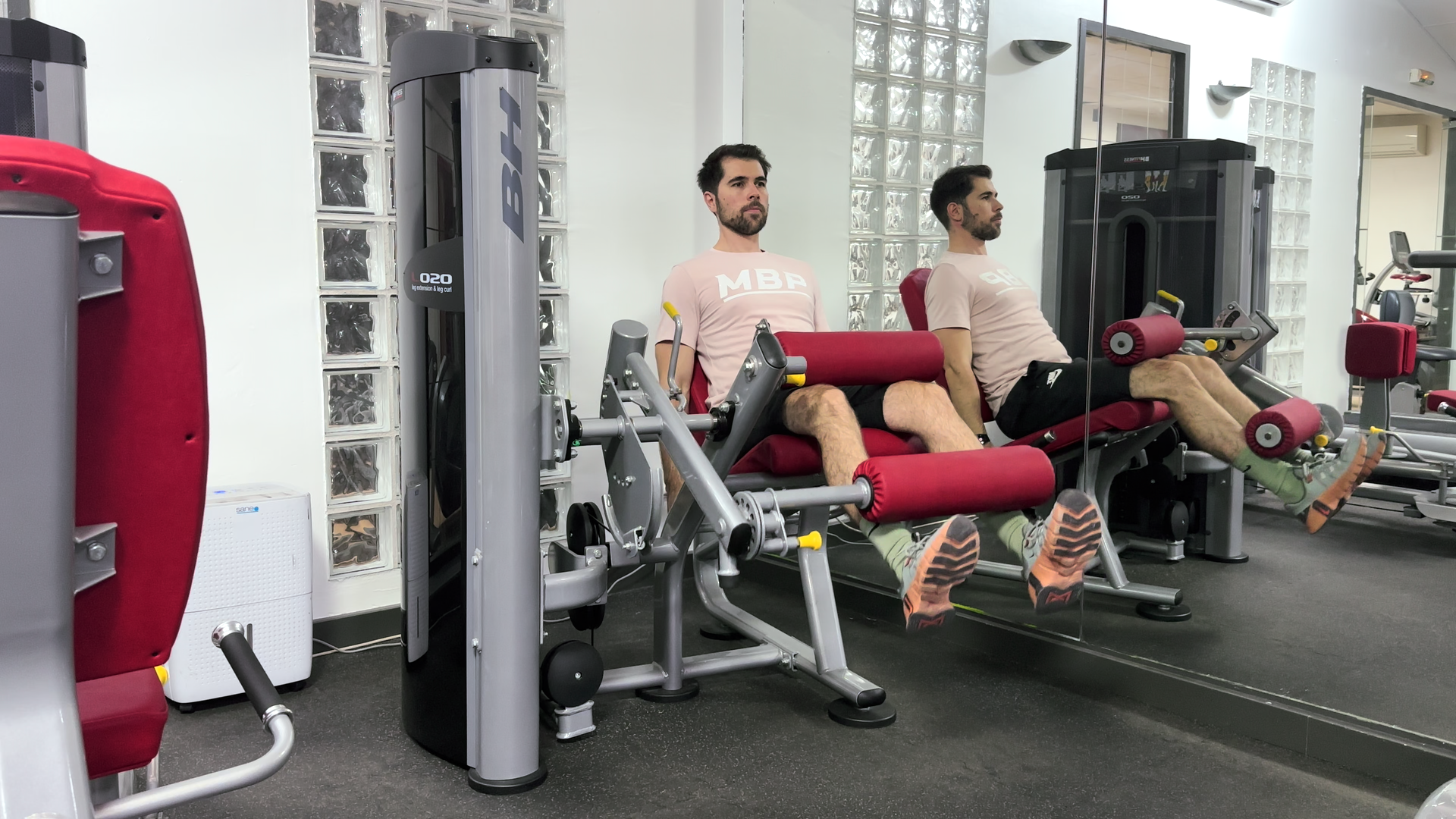 Leg Extension
